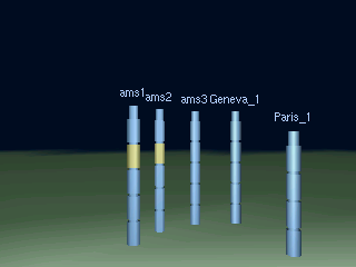 A group of routers automatically placed